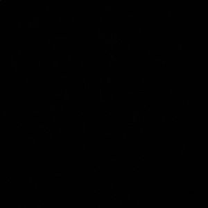 Meet your Posher, Abraham